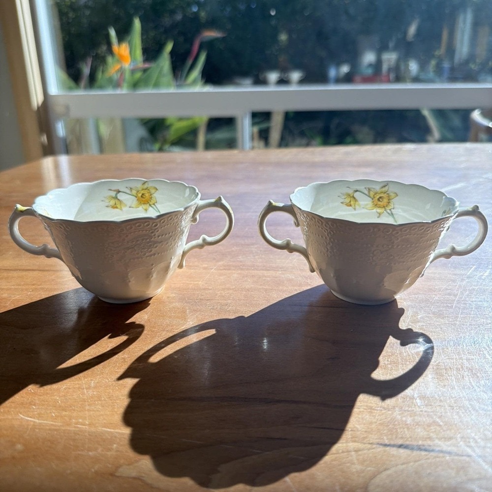Antique Spode Copeland‎ Jewel Double Handled Cups c1926 Daffodil Pair